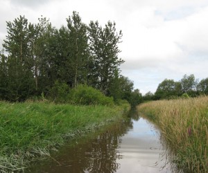 Ruisseau du Marais